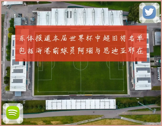 东体报道本届世界杯中超旧将名单包括海港前球员阿瑙与恩迪亚耶在内的10位球员